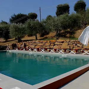 settignano-tuscany-homes.it-tuscanyhotel.com/